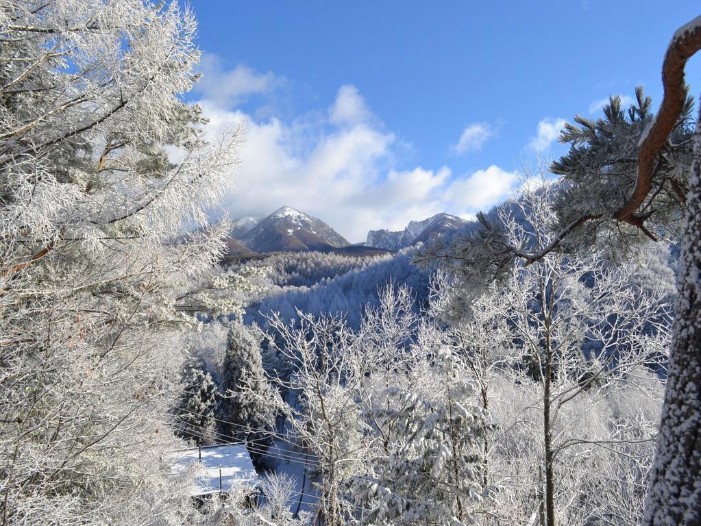 Hishino Onsen Tokiwakan Komoro ภายนอก รูปภาพ